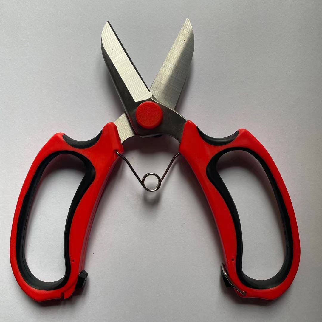 ΢��ͼƬ_20210319105918