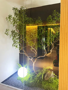 �����⾳�쾰ֲ��Gֲ�M�Ͼ��^���R��ާ��ɭϵ��ɽʯ��������