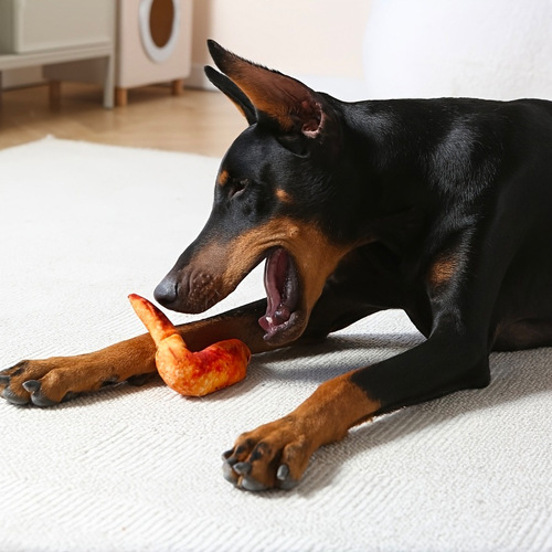 Amazon Dog Toys Plush Filled Simulated Chicken Ingredient Sound Pet Toy Amazon