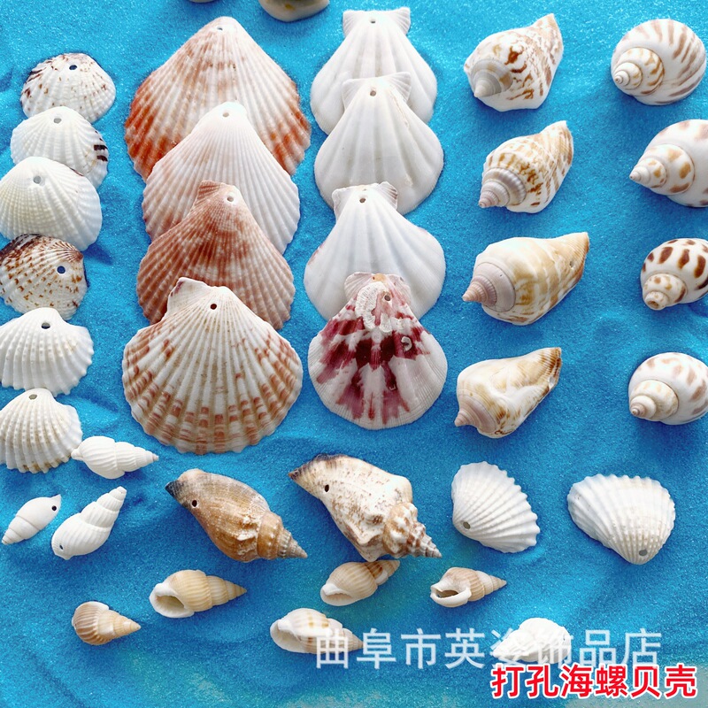 Punched Natural Shell Conch with Hole Shell Conch DIY Handmade Pendant Earrings Necklace Wind Chime DIY Material Punched Natural Shell Conch with Hole Shell Conch DIY Handmade Pendant Earrings Necklace Wind Chime DIY Material