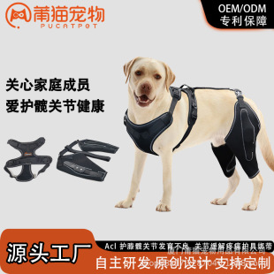 Cross-Border Hot Sale Pet Dog Acl Knee Brace Hip Dysplasia Joint Pain Relief Protective Gear Strap