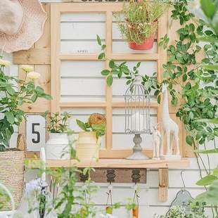 �ҾӔ[����ľ���f���򴰸񱳾����ߙ������c���⻨���Ĕz�������