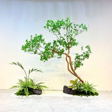 �����R��ľ��Ʒ�쾰����ֲ��ܛ�b�[���������^�̈����݄e�����^