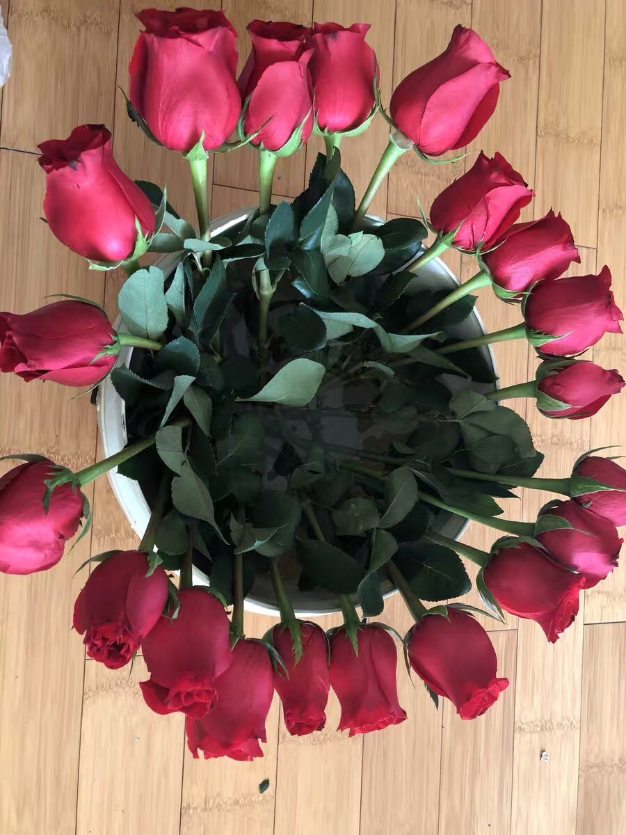 2925eb1c-c795-4f61-8748-0e5e4cb33d6e.jpe