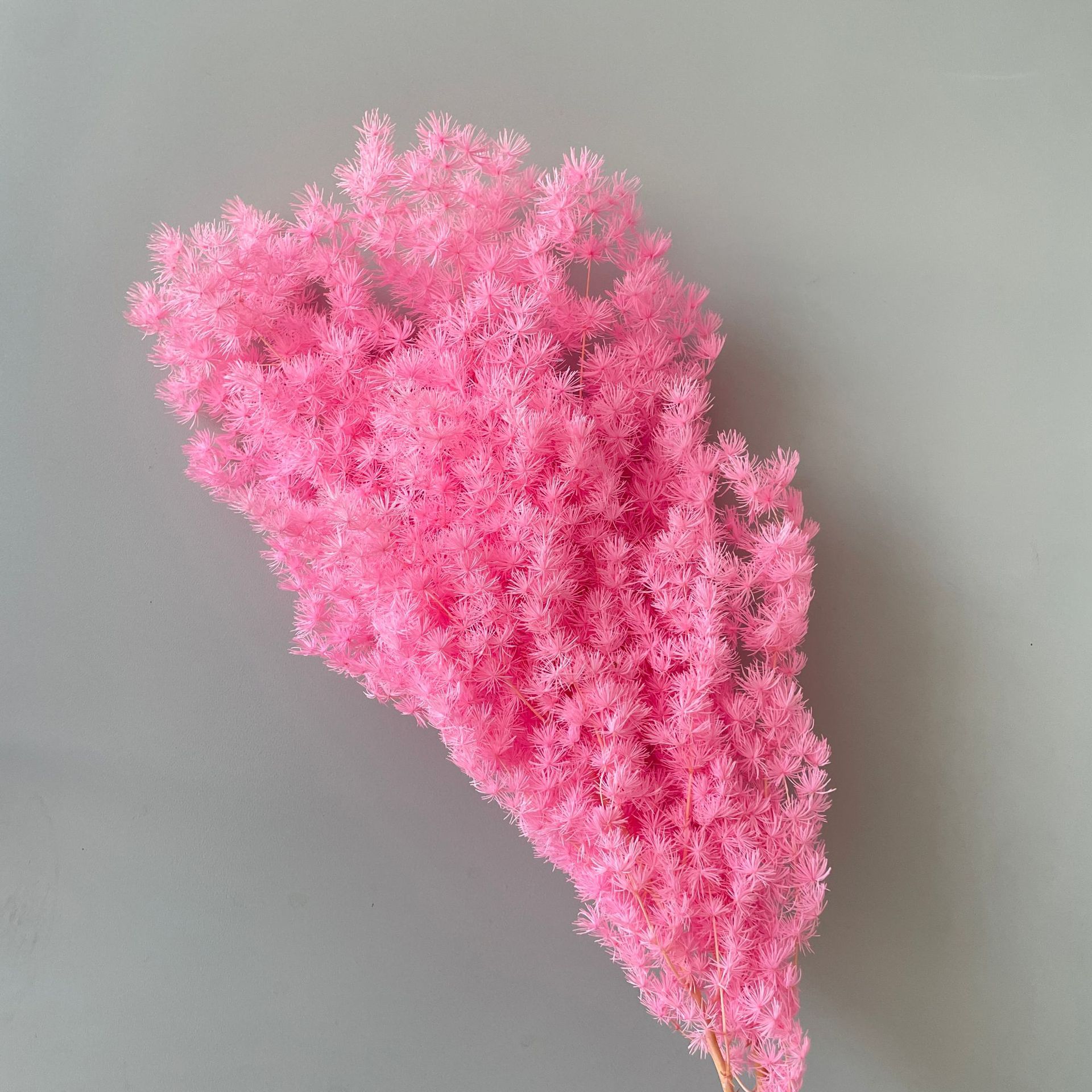 Bubuk bunga sakura dalam