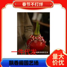 ��피tϞ���M����������ϞϞ��Y�и��\��Ƭ�Ӹ��҃��bo��ˮ��