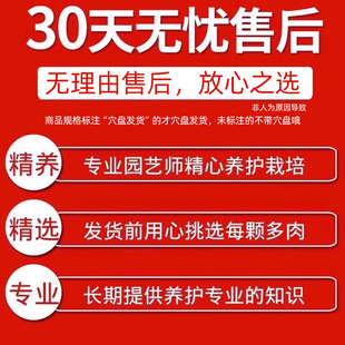 ����ֲ���҃�С���Դ��w���B�Gֲ�ﻨ�����l�r���F؛�҃����״��