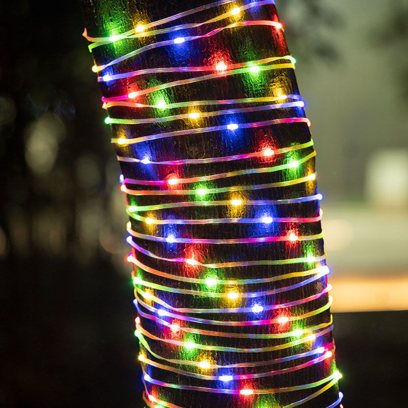 c6b8e664-ffcd-40a5-82d4-3955963d66ab.jpe