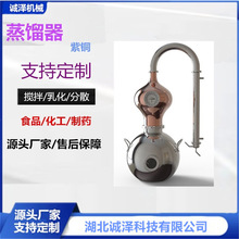 �\�ɹ������~���������s���������s���׾����s����ᄾ����~���s��