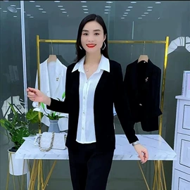 女式T恤;半身裙;假领
