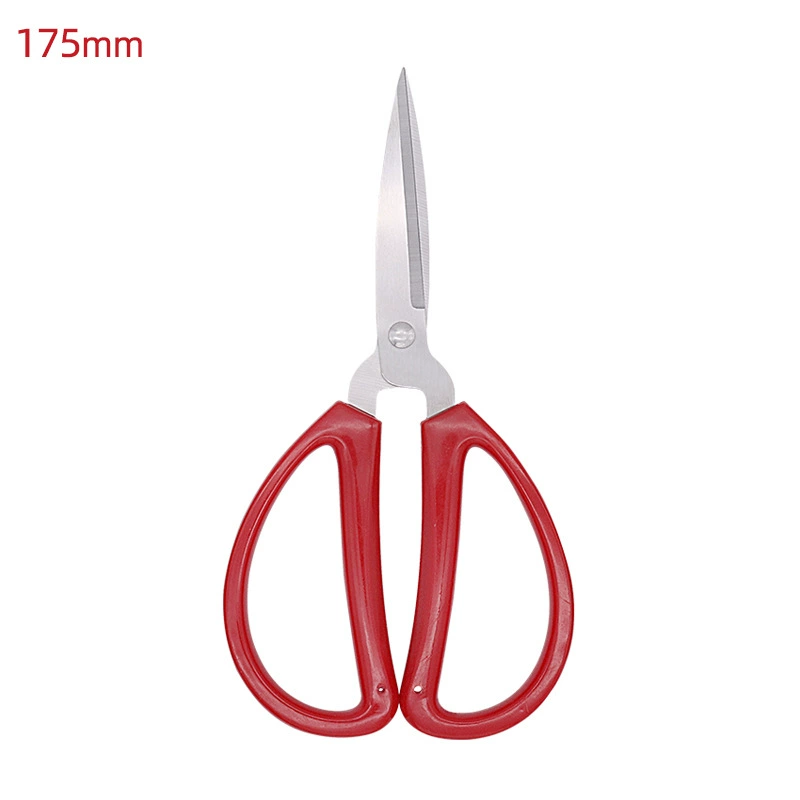 Scissors stainless steel reusable, (Physicals)