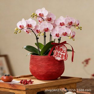 ���W�F���m��ƴ���ڏ������m���Լtɫˮ�໨�������������b�