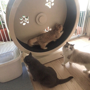 �ܝL݆����݆؈��؈��߽����ܲ��C�������Ҿ��o���LͲ�\�ӵļ�