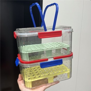 Dopamine Portable Fruit Storage Box ~ Outdoor Picnic Camping Style Ingredient Preservation Box