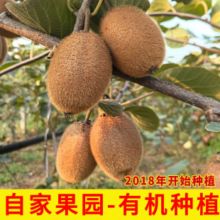 �����������J���Ҽ���o����������r�����m������С�����殐��