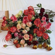 干花真花多头小玫瑰泡泡天然家居插花装饰diy手工活动材软装厂家