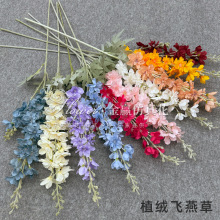 ���滨2��ֲë�w��� �L���ӻ�Y�û������_�m�Ҿӻ�Y�ٻ����l