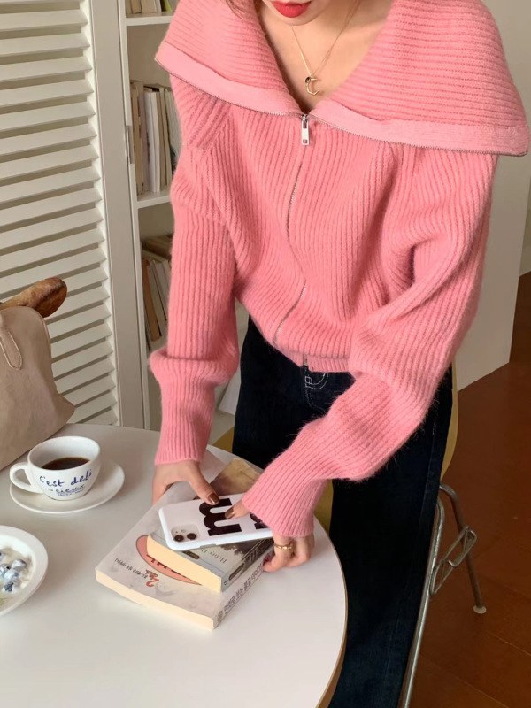 毛衣外套女开衫秋季新款韩系大翻领拉链纯色慵懒软糯宽松版针织衫|undefined