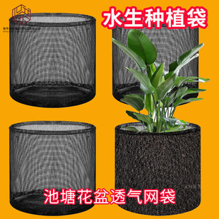 ���ƿ羳�������ϾW��������͸��˯ɏ�W��ˮ���Nֲ���ϾW�����ϾW