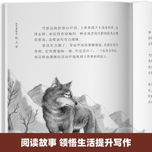 Limited to 79 copies, Wolf King Dream: Full 5-volume set, Shen Shixi Animal Novels Picture Book Series for Primary School Students