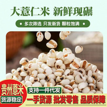 �F��С��޲������ș�Ĺٷ���Ş�����r؛500gʳș��޲����һ�����l