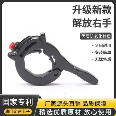 Other Electric Vehicle Accessories throttle booster, cruise control