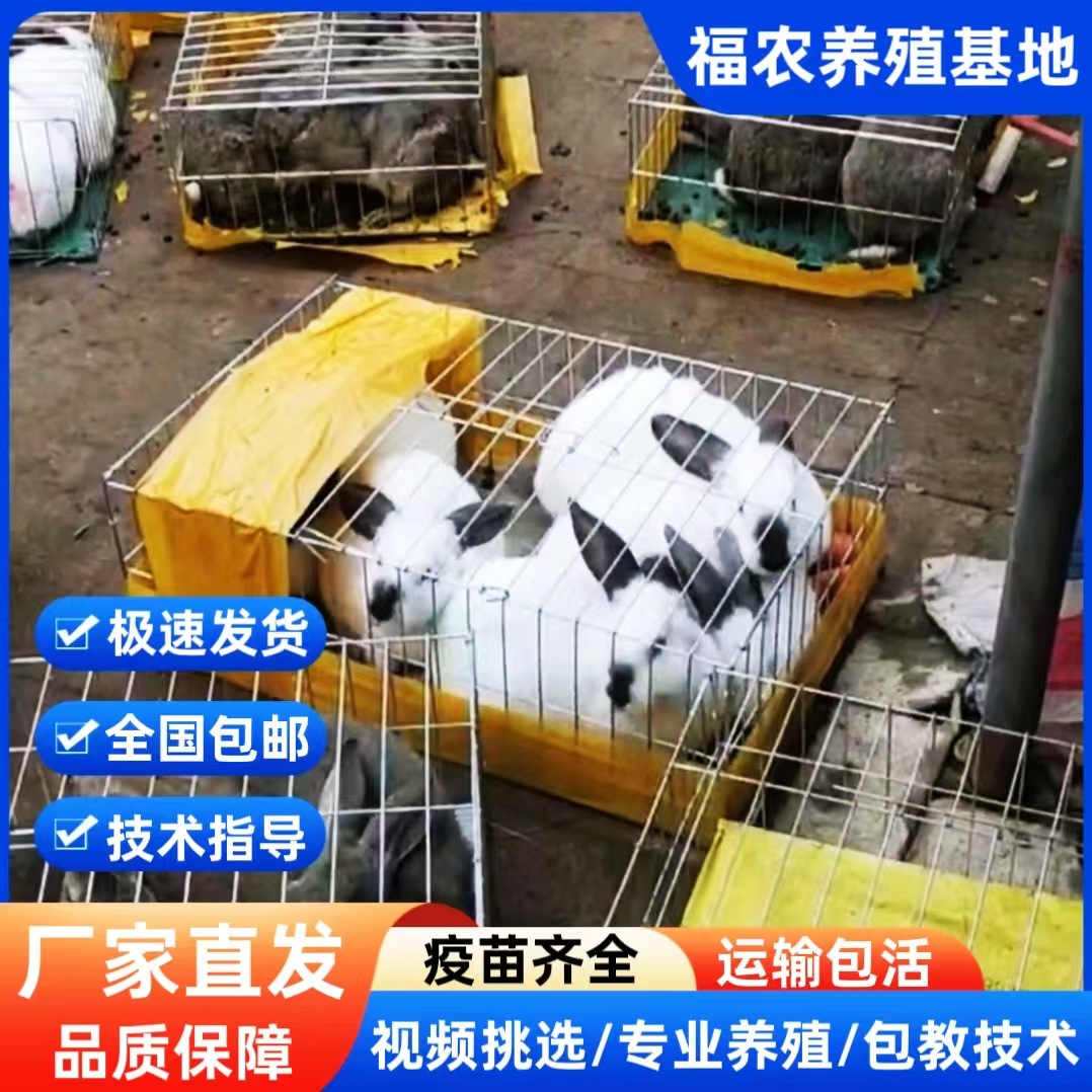 微信图片_20250311165849