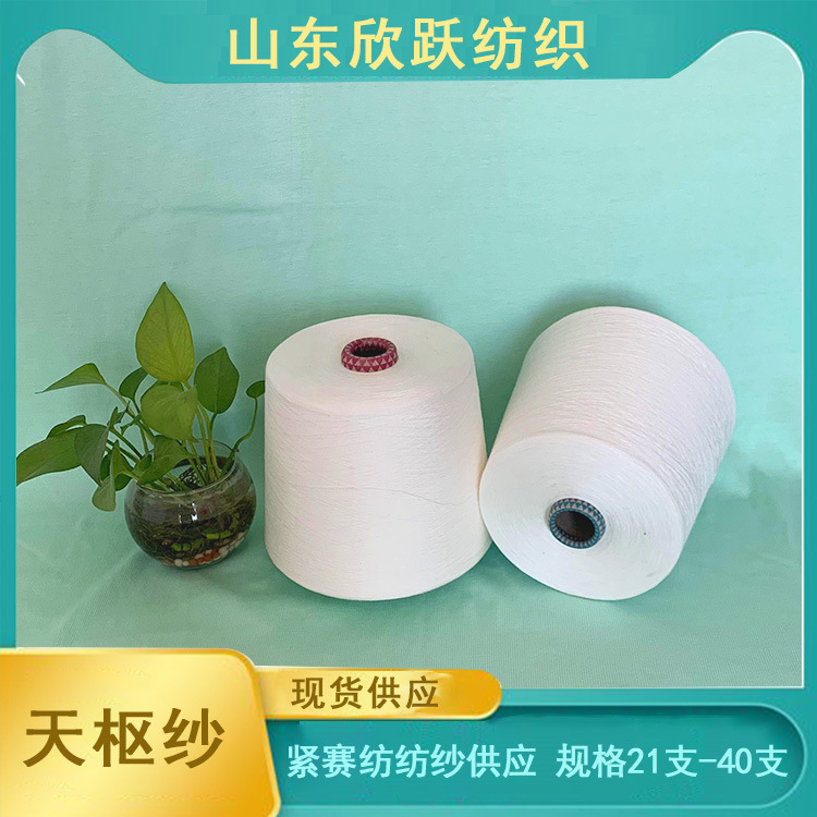 天丝棉纱 兰精天丝纱 涤纶天丝纱 欣跃常年现货供应