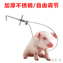 套猪器钢丝绳套抓猪保定器套猪嘴打针兽用器械宠物固定器猪场设备