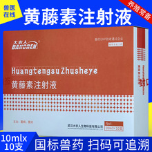 黄藤素注射液兽用兽药10ml10支黄藤素针家畜菌痢肠炎