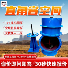 �Y���o��ֱ����ˮ�y�m�ÏVֱ����ˮ�y���b����PZI-800ֱ����ˮ�y