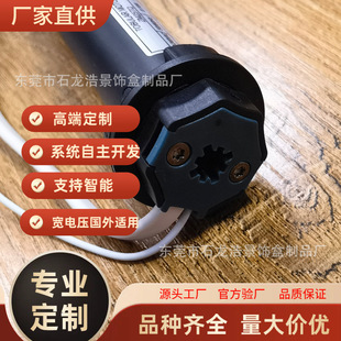 Factory Direct Supply Matter Strong Electric Model 25 Homekit Thread Motor 25 Lithium Battery Matter Curtain Motor