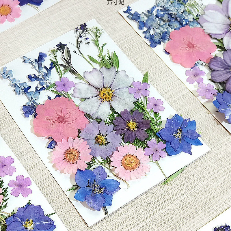 Цветы DIY смешанные сушеные цветы Листья с тиснением настоящие цветы образец растения родитель-ребенок капает сушеные цветы пакет оптовая продажа