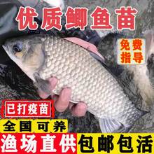 �a�~���~�絭ˮ�Bֳʳ���п�5̖��Ʒ�N������a�S���a���a�~�~��