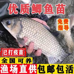 �a�~���~�絭ˮ�Bֳʳ���п�5̖��Ʒ�N������a�S���a���a�~�~��