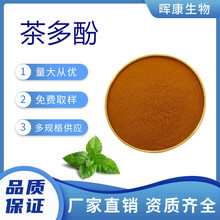 茶多酚98%表儿茶素表没食子儿茶素绿茶提取物SC工厂高含量植物