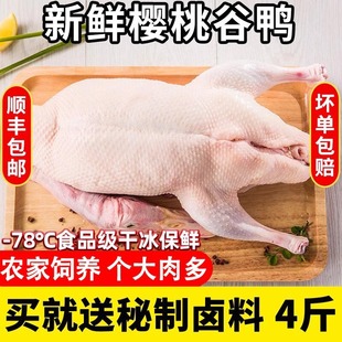 ��S���]���r���ҹ����r����������ֻ�חl���F�����l������]