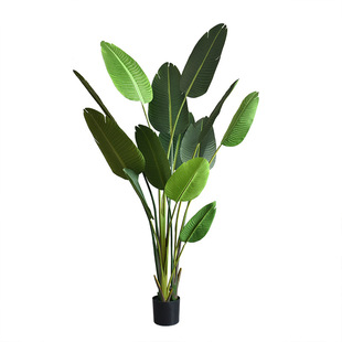 ���W���ͷ���ֲ�����˽��辰���Ԕ[�������B���滨�b������~ֲ��