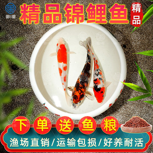 ���N�\�� ���w�^�p�~ ���~���ͼt����ˮ��ˮ�~���B�ͻ���~�t���~