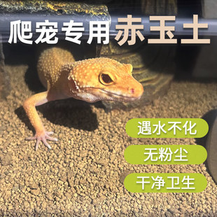 �����������|�Ğ����S�����،m�������汣��ײ��w�����쾰��B��