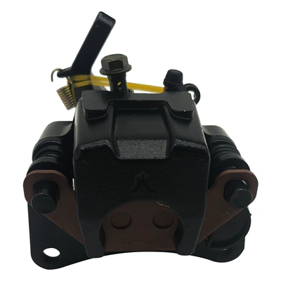 Motorcycle engine and accessories rear brake pump