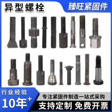异型件紧固件螺栓螺母热打冷镦高强度异型螺丝车床非标机加工