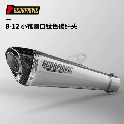 Suitable for 51mm Diameter Stainless – Motorcycle exhaust pipe - b-12-small-cone-round-mouth-titanium-color-carbon-fiber-head