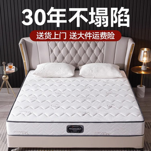 ���\ϯ��˼���z���|Ʒ��20cm����ê�������Ҭ�؉|1.8��