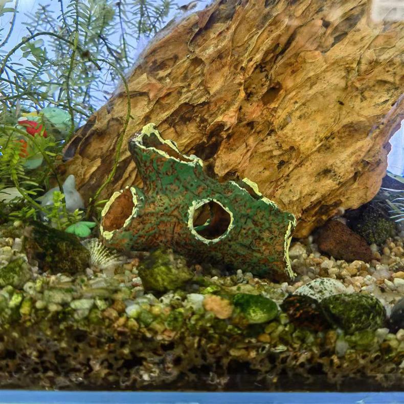 O1CN01KWNciE1T8qoPcjUrR_!!2214