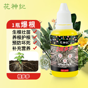 Rooting solution for plants universal fast rooting water fleshy green plant flowers cutting strong rooting and seedling strengthening agent