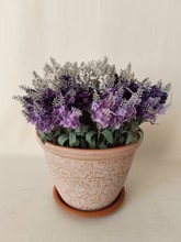 QڹSKD9981PfҾbϻG} _mNֲ