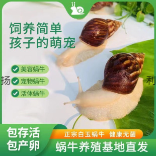 ΁ţ���l�W���^�p����[������ֳ�����