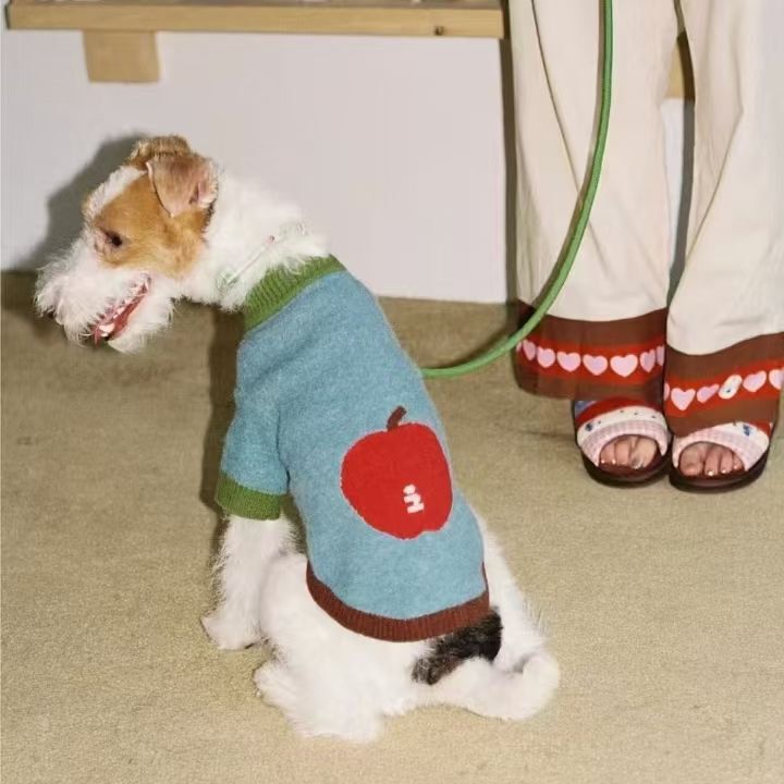 Cat and Small to Medium-Sized Dog Clothes, Autumn and Winter Outfits for Teddy, Bichon, Corgi, Schnauzer, French Bulldog, Pomeranian, and Sweaters