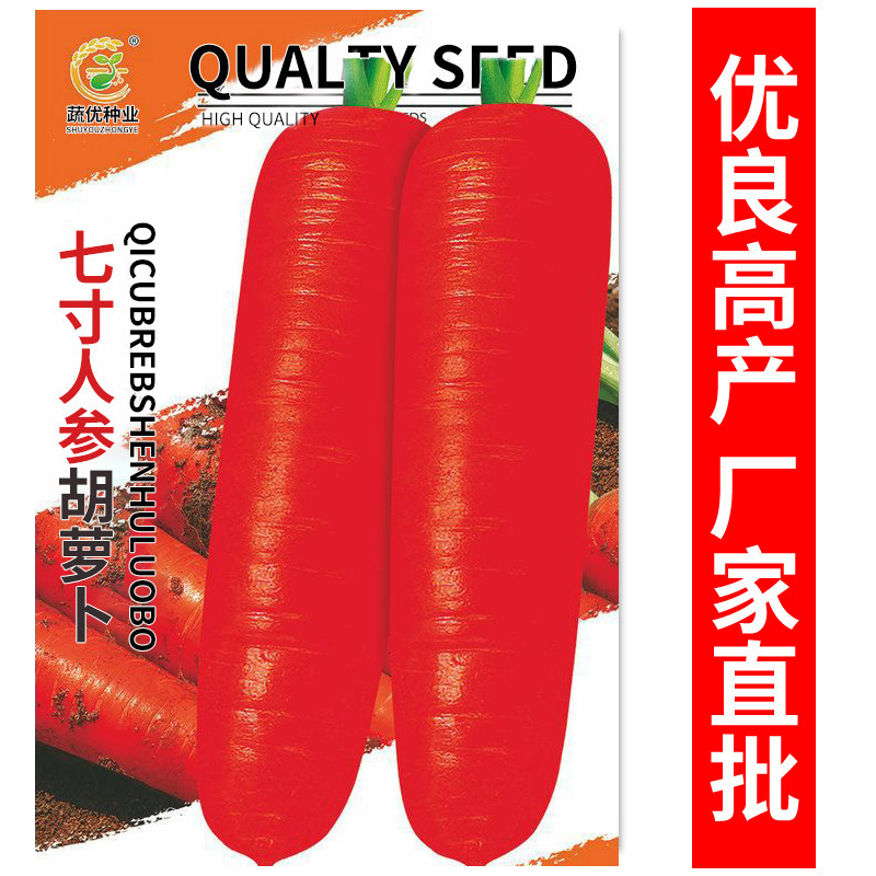 Wholesale Vegetable Garden Seeds 7inch Ginseng Carrots 7g Potted Balcony Seeds Rapeseed Factory Direct Hair